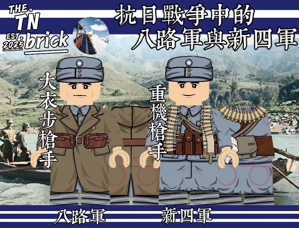 TN新品