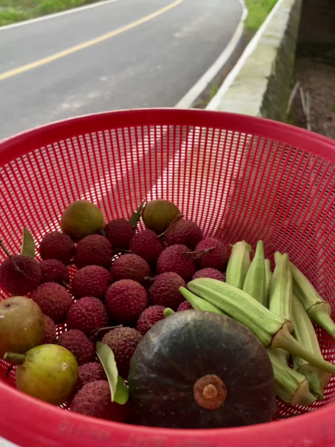 在乡下的小日子简单而幸福