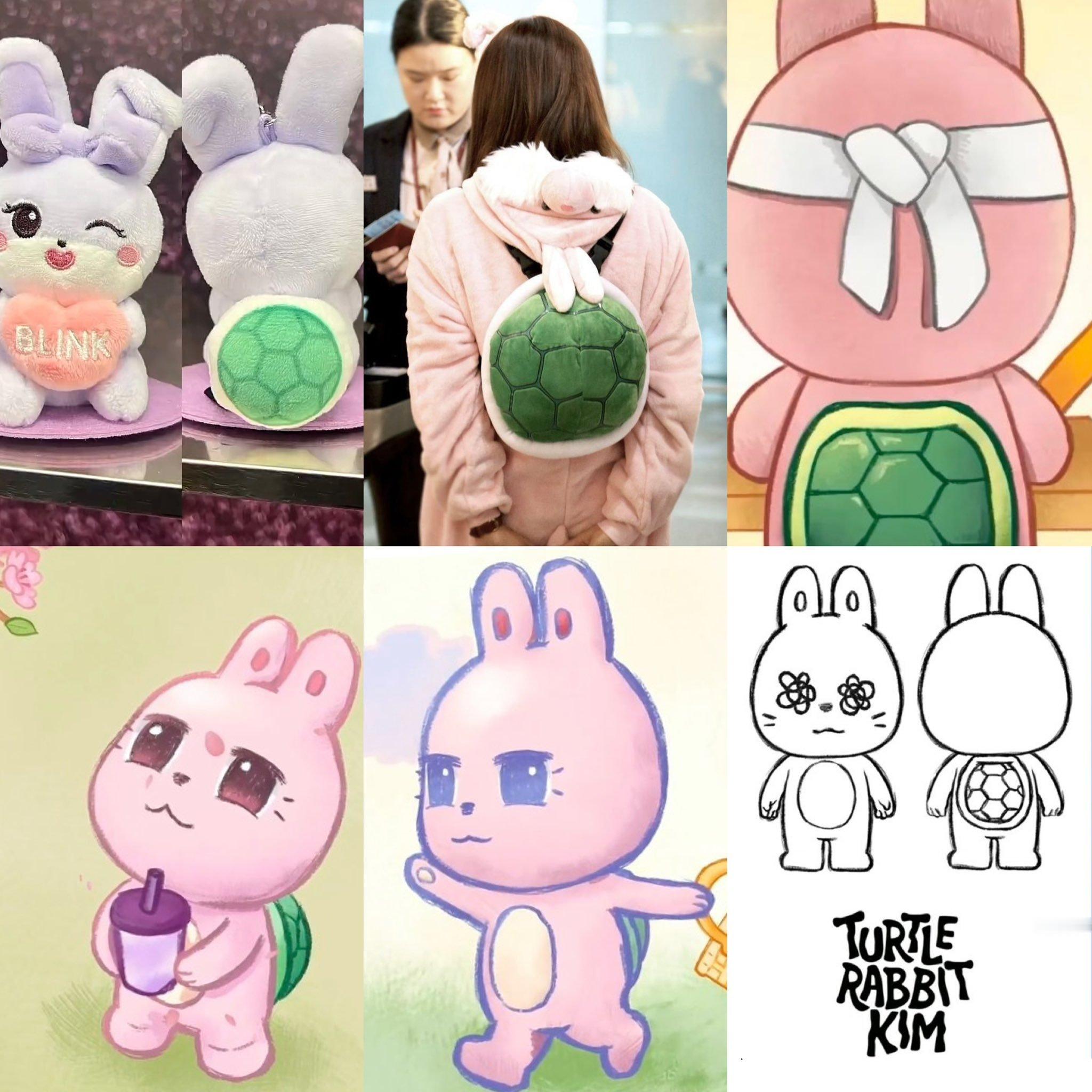 rabbit🐢 
