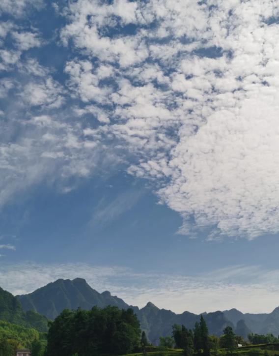 泽连斯基的忧思：乌克兰会被遗忘吗？
亲爱的朋友们大家好，我是海林小百科！今天我们