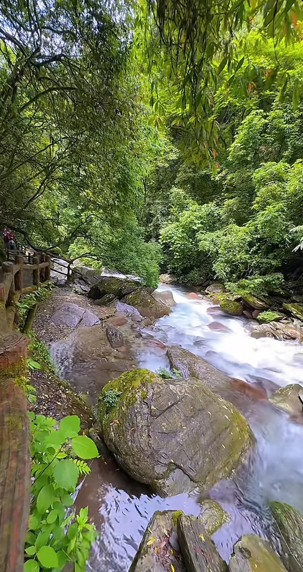 青山绿水间，是大自然的治愈力量；漫步其中，让心灵得到休憩与慰藉。治愈风景 天然治