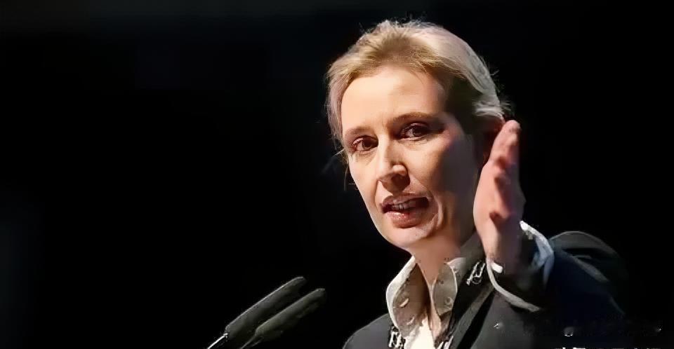 德国选择党主席魏德尔最近直接喊话泽连斯基，让乌克兰为北溪爆炸赔钱，直言炸了德国的