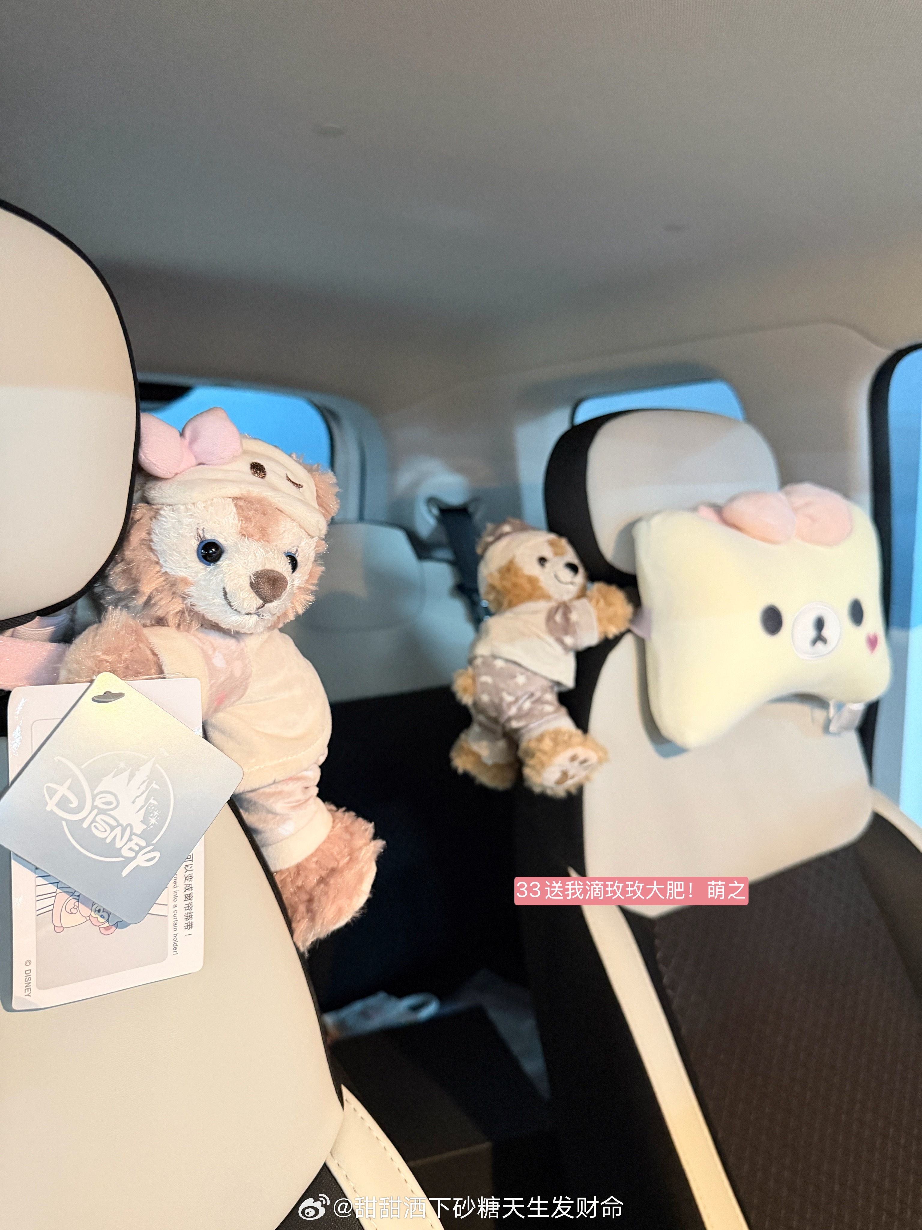 嘿嘿给大家汇报下！我给自己买了辆代步babycar～主要是养了泡芙之后出行还是不