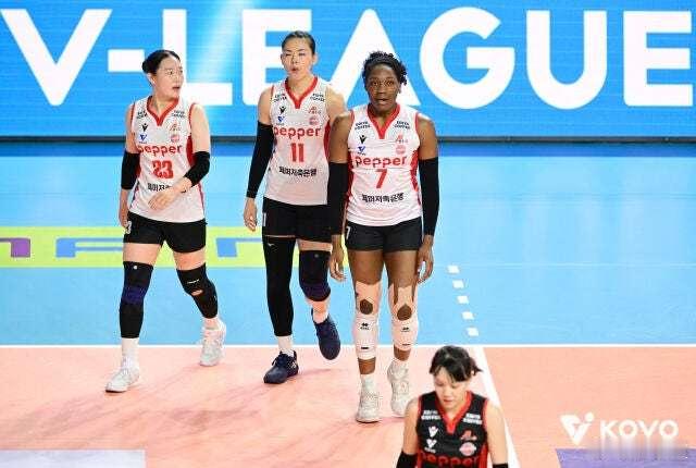 国际排坛动态韩国女排Pepper储蓄银行8连败后，球迷的一些留言 “今天去现场看