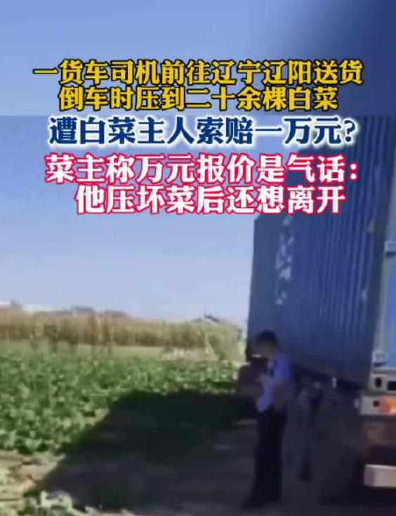 倒车压了二十来棵菜，对方最后张口要一万？这事听着就离谱。
一位跑大货的师傅，倒车