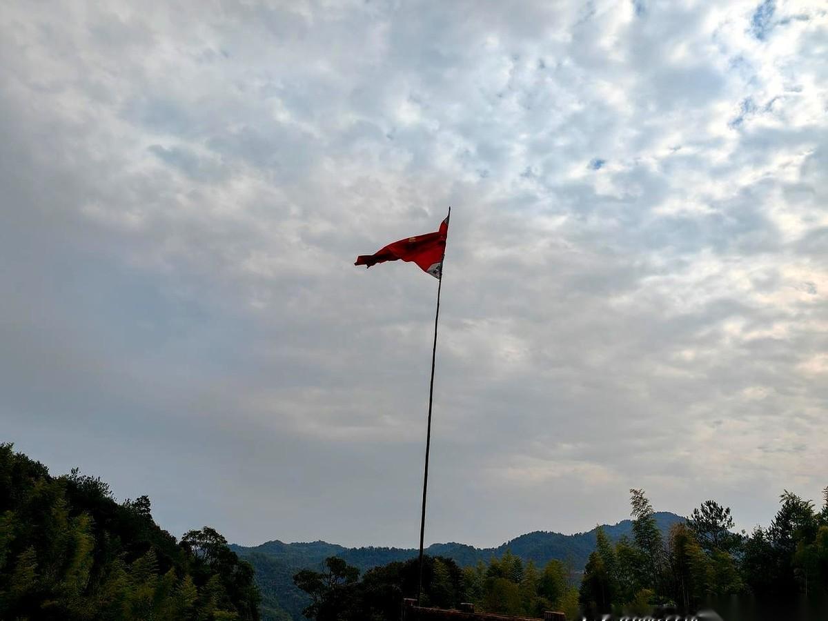 后备箱“砰”一声盖上，塞满了妈给装的腊肠和土鸡蛋，沉得车屁股都往下一坠。
我从后