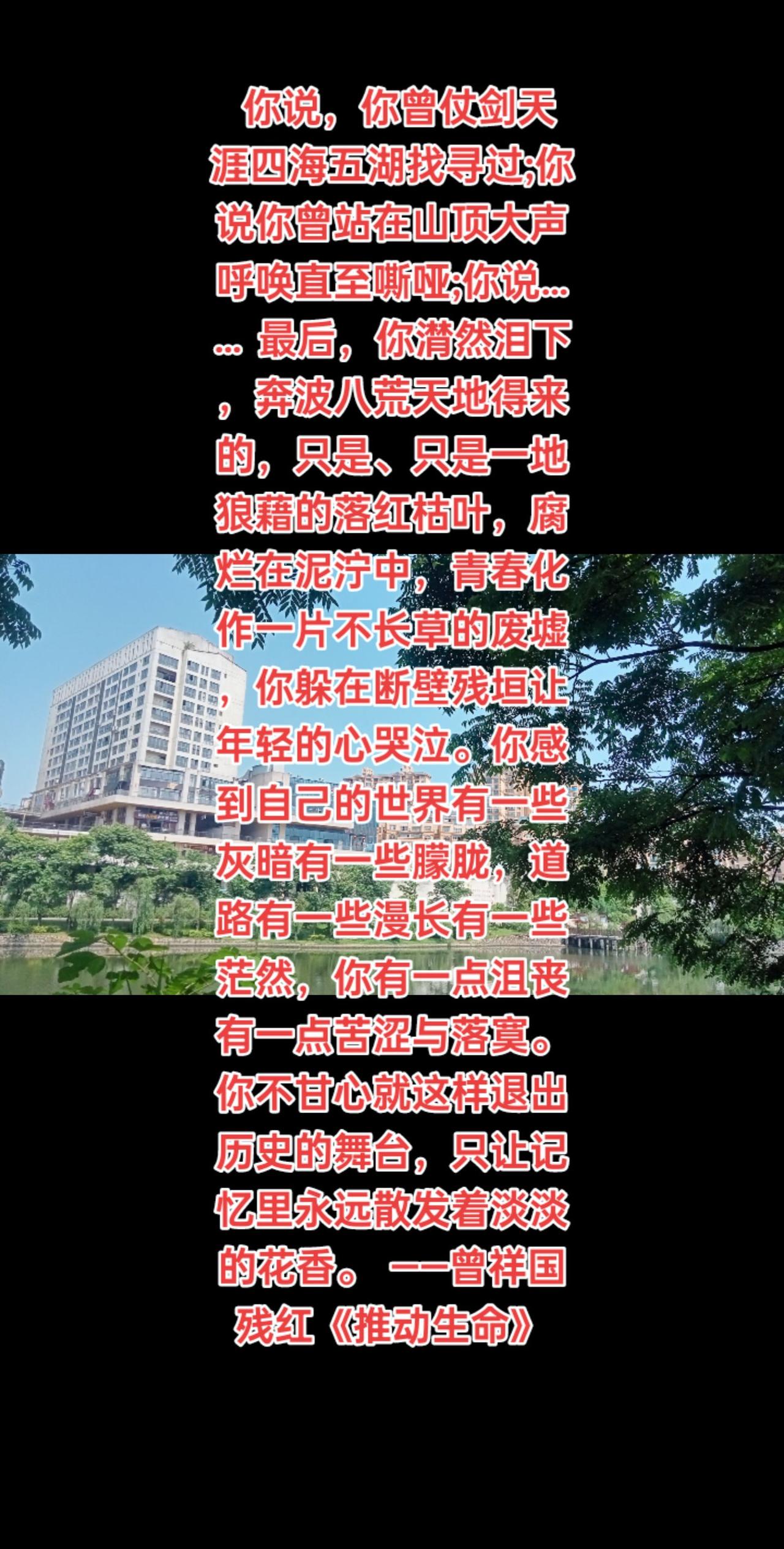 你说，你曾仗剑天涯四海五湖找寻过;你说你曾站在山顶大声呼唤直至嘶哑;你说……
最
