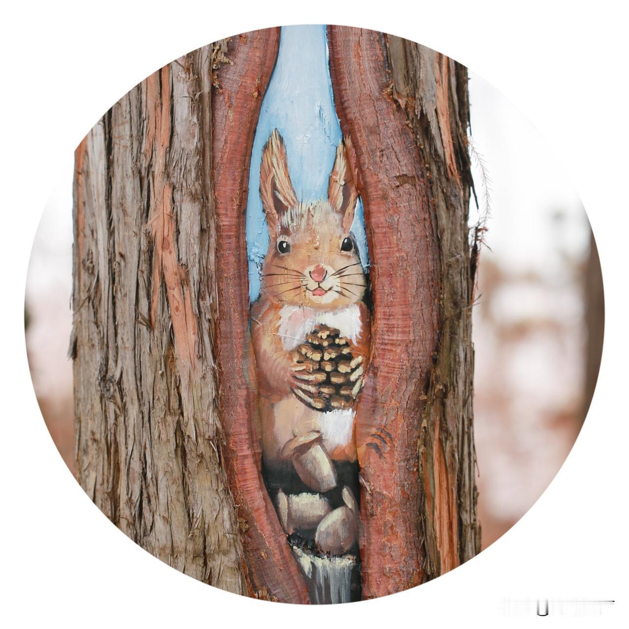 东湖梅园小惊喜，大树疤痕绘卡通。