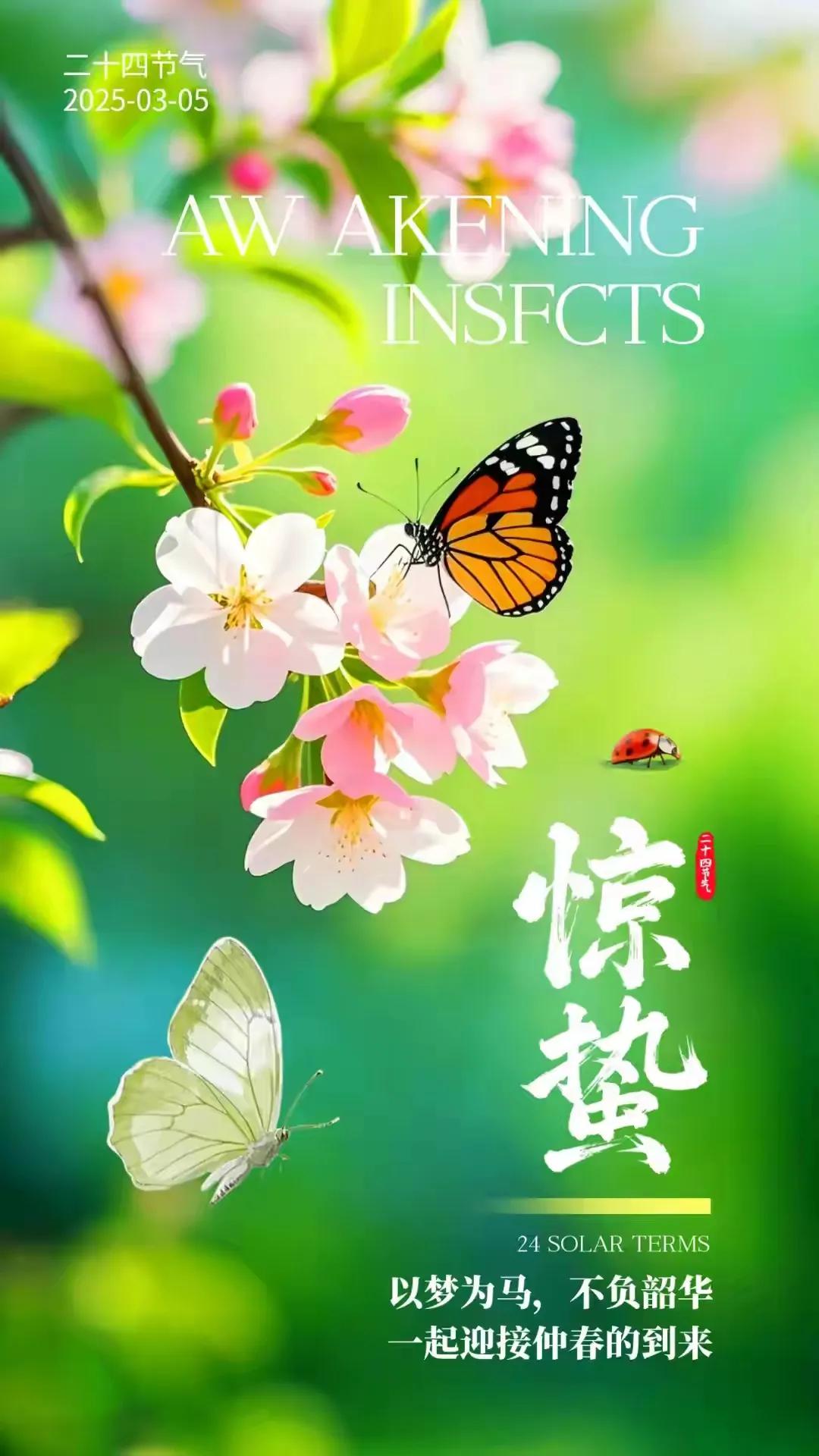 是谁心里，还不藏着个不能说心思。。。

古语说的好:百善孝为先，论心不论行，论行