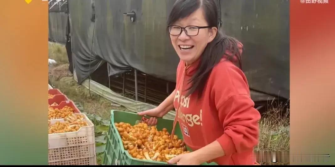 寒门学霸交出六百九十九分答卷，大众追捧的励志样本不该沦为流量博主牟利的工具。河南