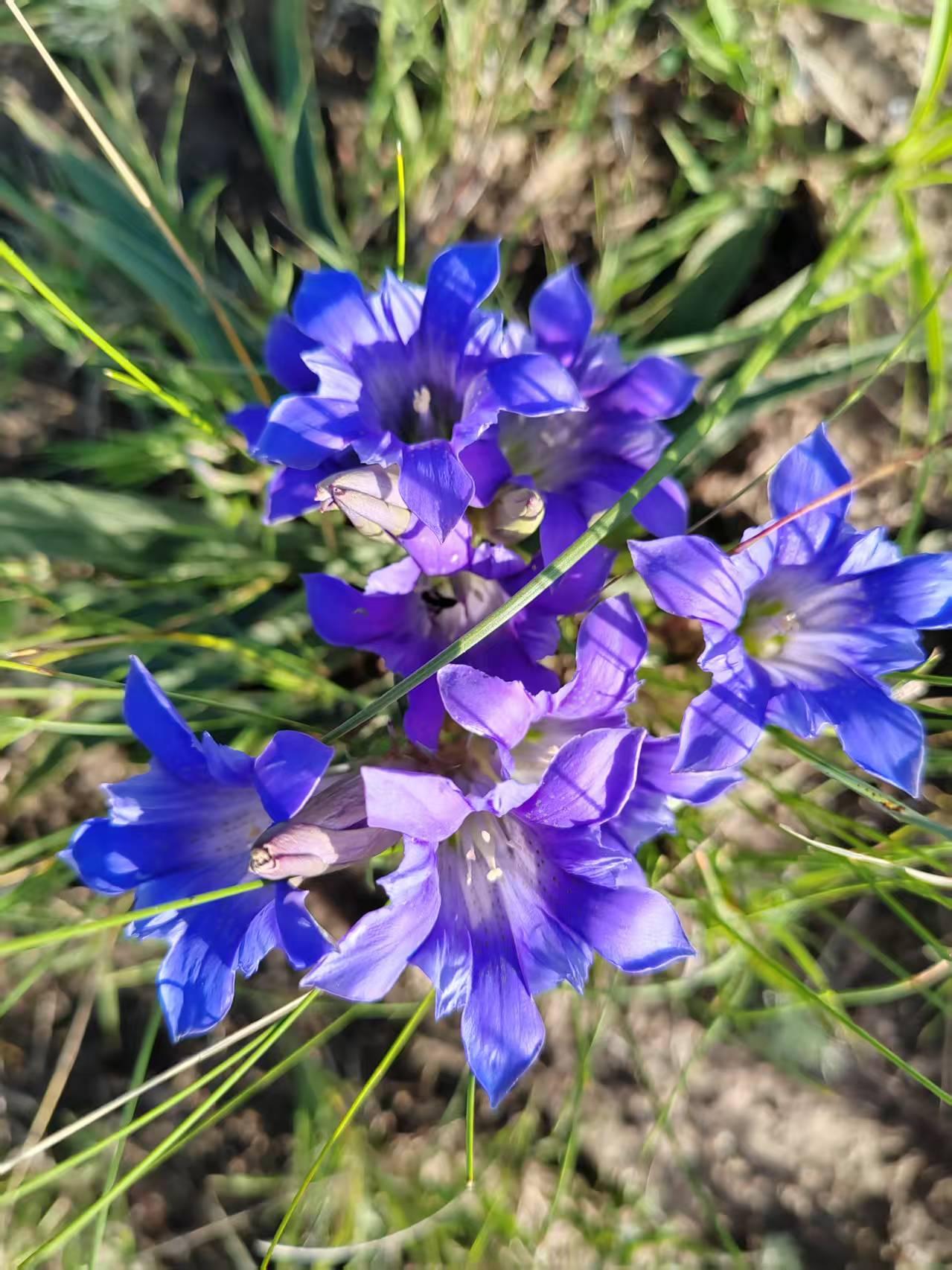 晒出你随手一拍的风景图