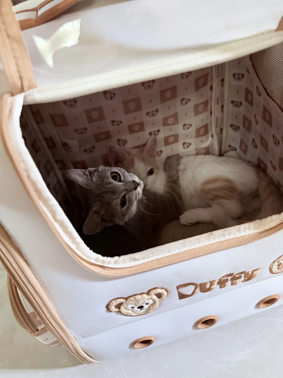 孩子们可太爱迪士尼这个猫包了