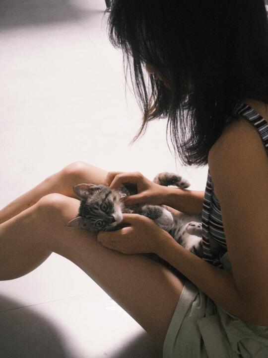 真的好爱我的小狸花🐱