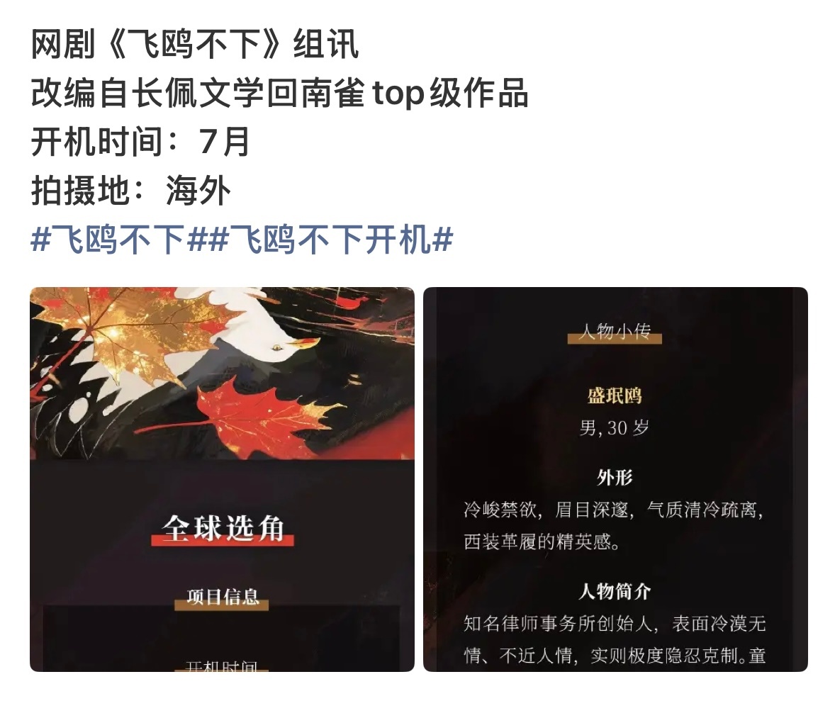 卧槽！飞鸥不下！！我记得这本是骨科还是伪骨来着。。 