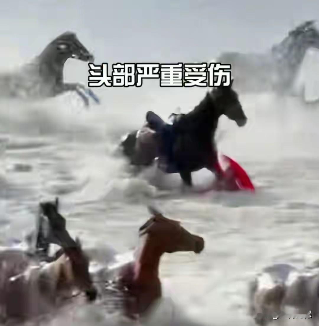 贺娇龙到底是怎么从马上掉下来的？原来是她骑的这匹马，马腿突然崴了一下，于是她从上