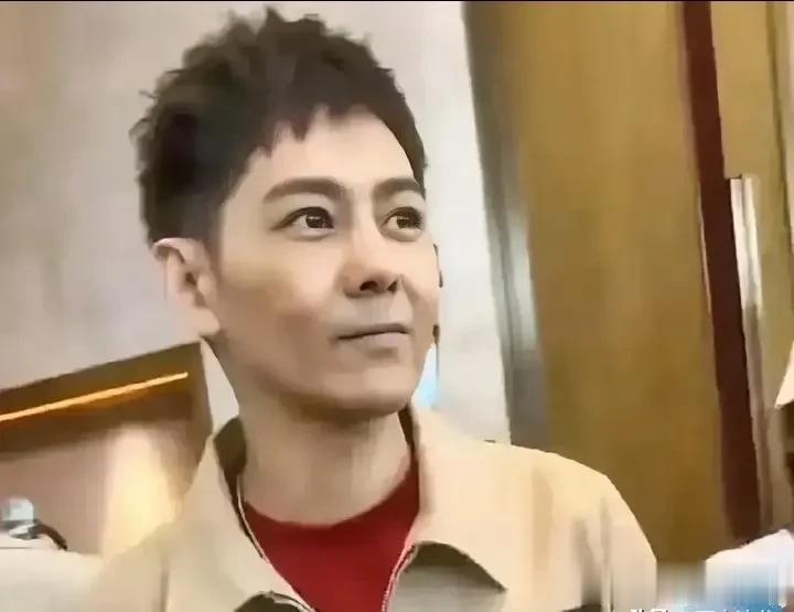 林志颖的神仙颜值再也回不去了，刀刻的法令纹，僵硬的脸，酒窝也不见了。

虽然他已