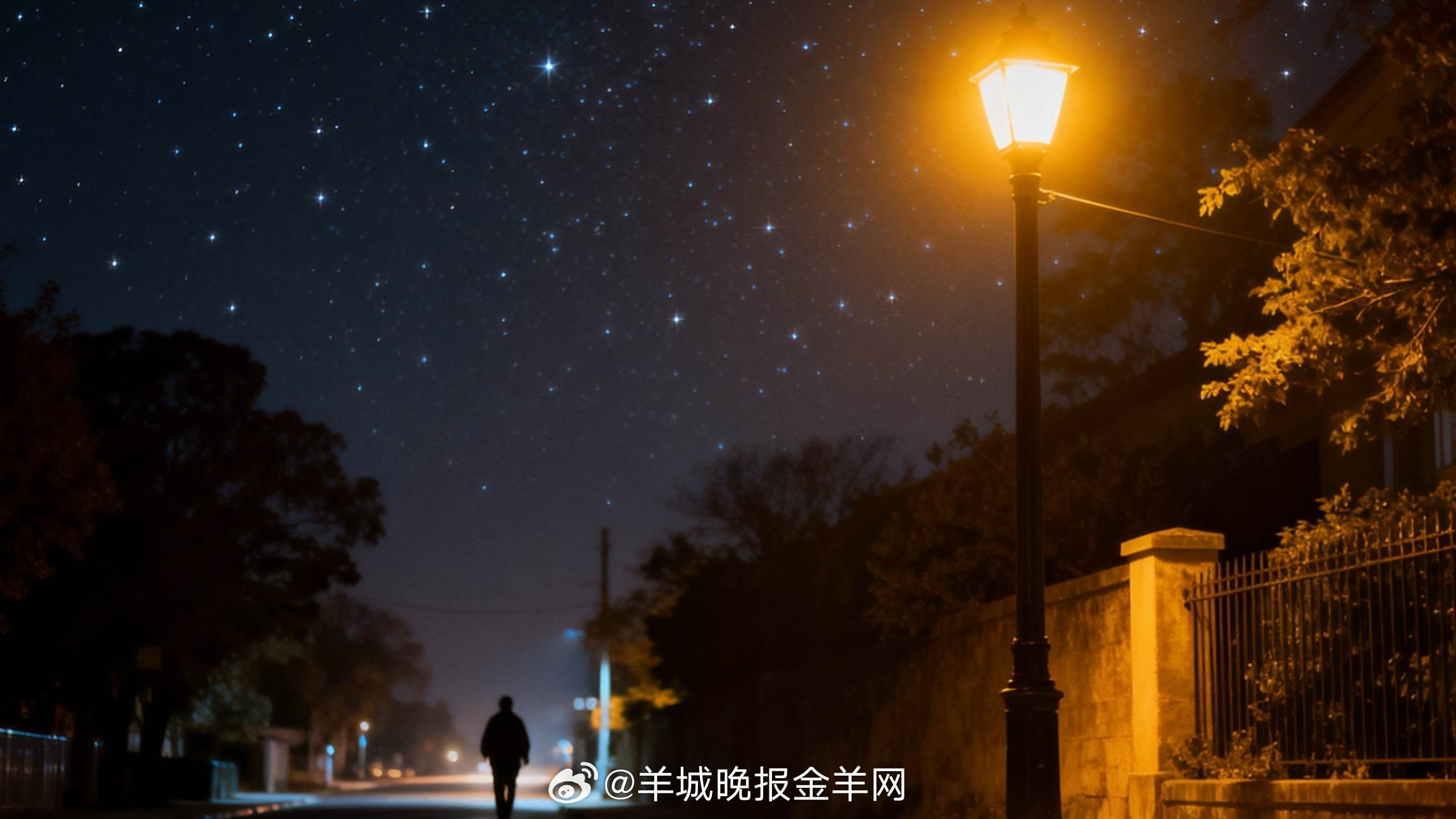 #晚安#星光照着归途，也照着未归的路。每一个在夜里赶路的人，都配得上一盏灯；每一