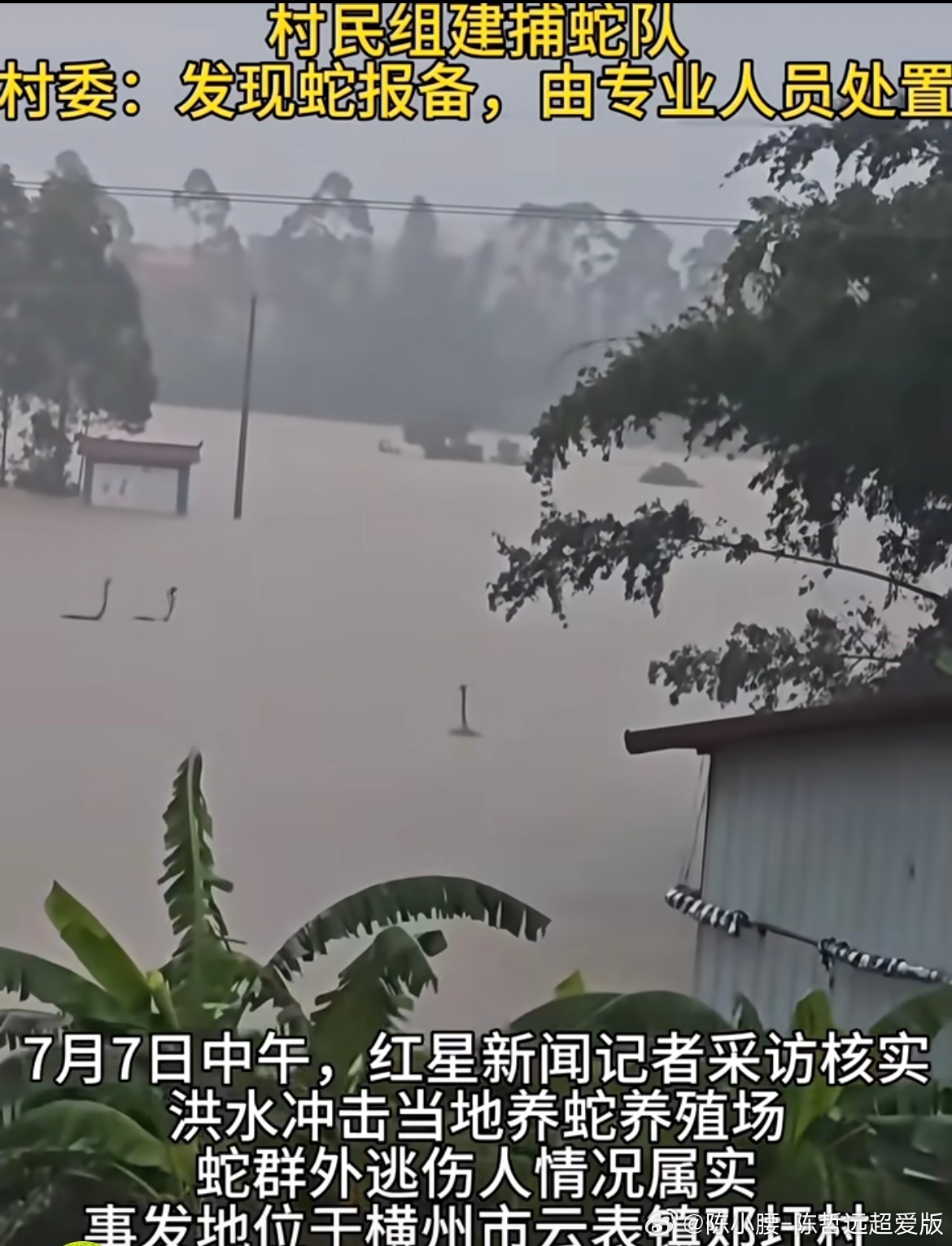 广西内涝求助这可怎么是好？天灾还有人祸洪水致养蛇场蛇逃出有眼镜蛇救援更难了愿灾难