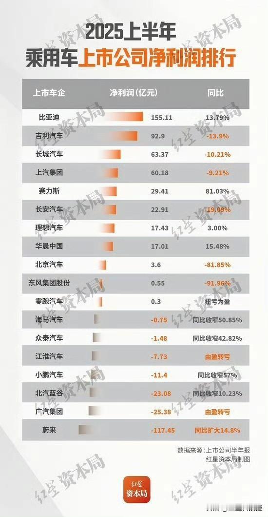 谁是2025年车圈的最大赢家？上半年比亚迪以155亿净利润断层第一，这含金量到底