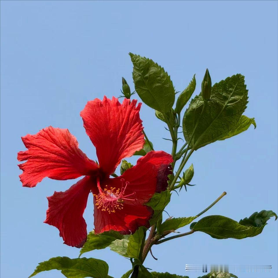 医学博士姚彬在武汉履新
 
4月8日，该同志履新。
 
该同志曾经获得医学博士学