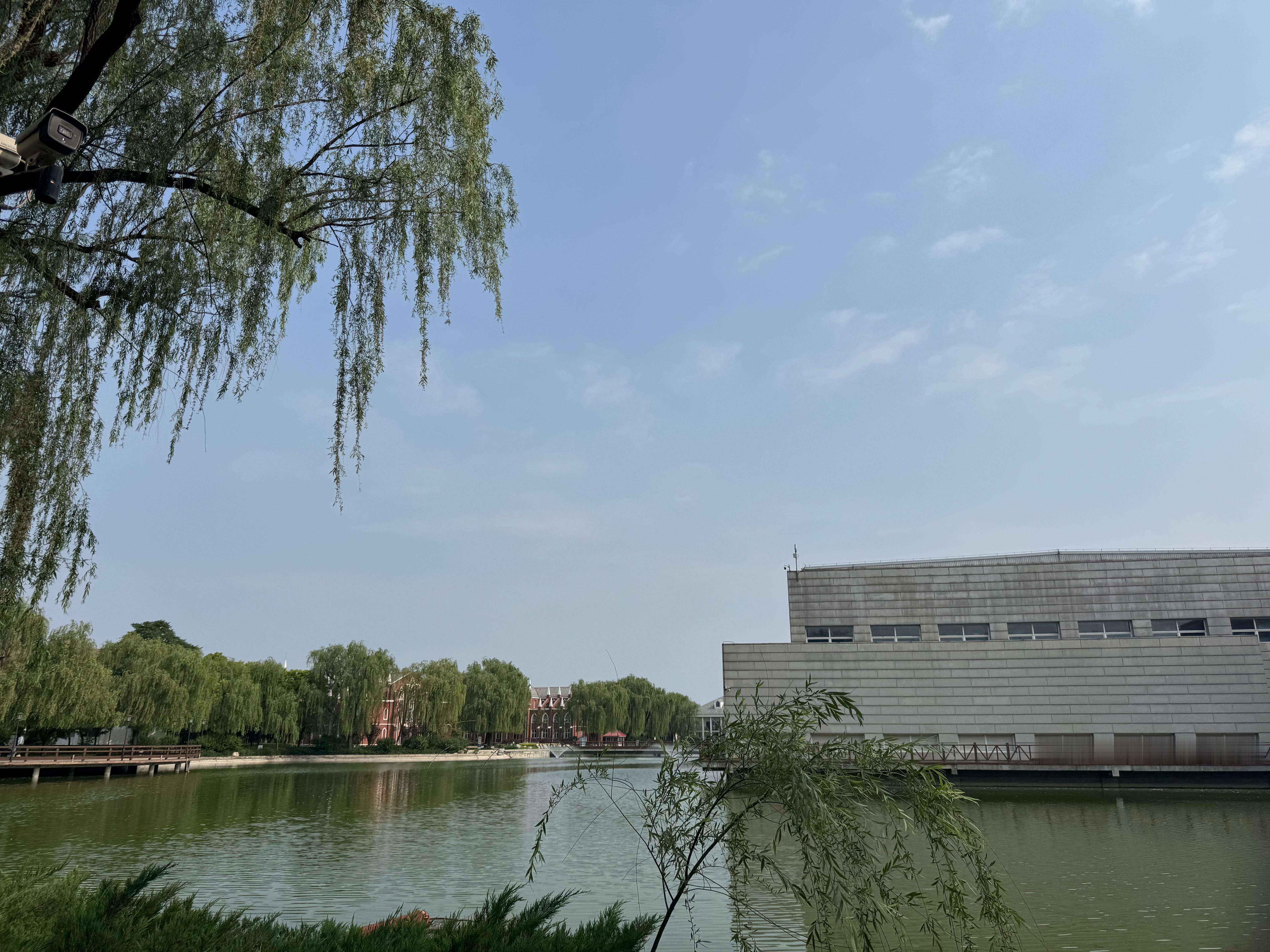 难得起个大早 吃上了三种碳水早餐 幸福