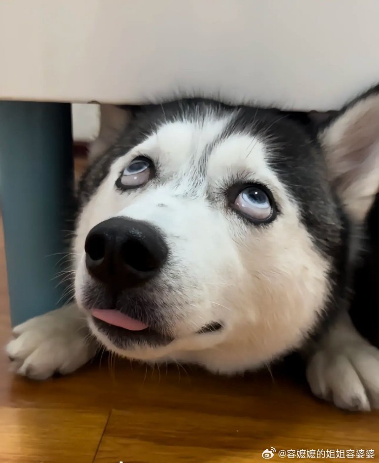 越来越多国家被卷入中东冲突土耳其至今没发声，以色列可早就想好了，拔掉伊朗，下一个