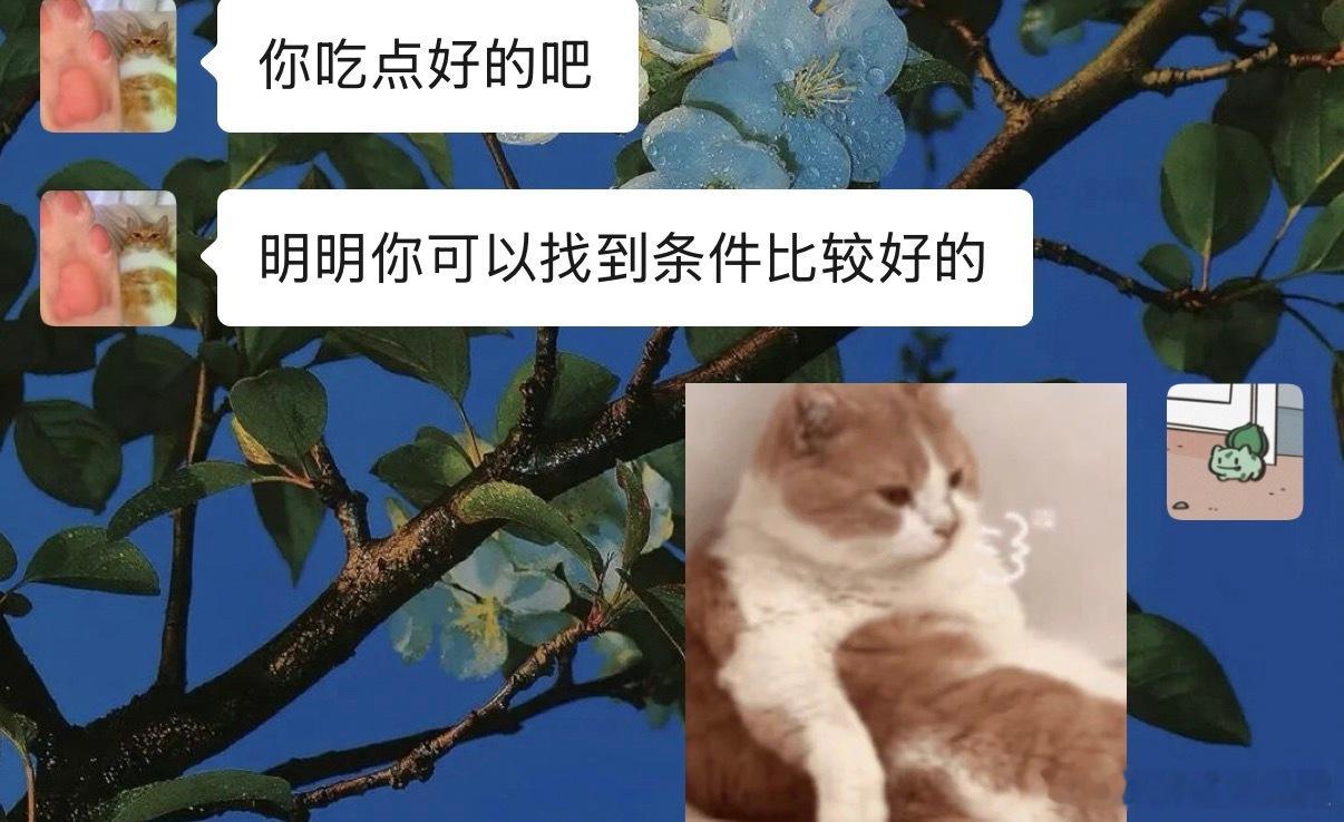 我被骂 