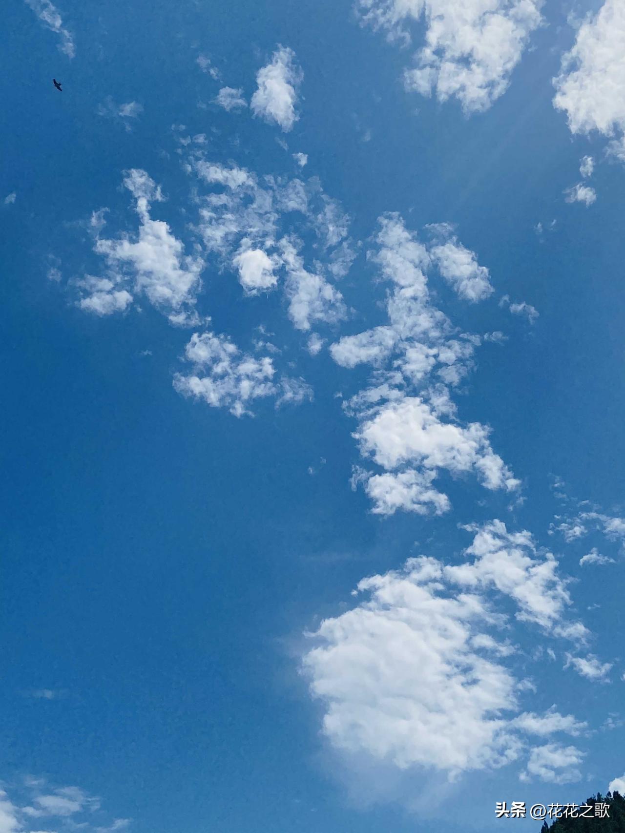 可能是这种类型的剧太多了，题材的新颖度一点都没有，就是从看第一集，你就知道，主角