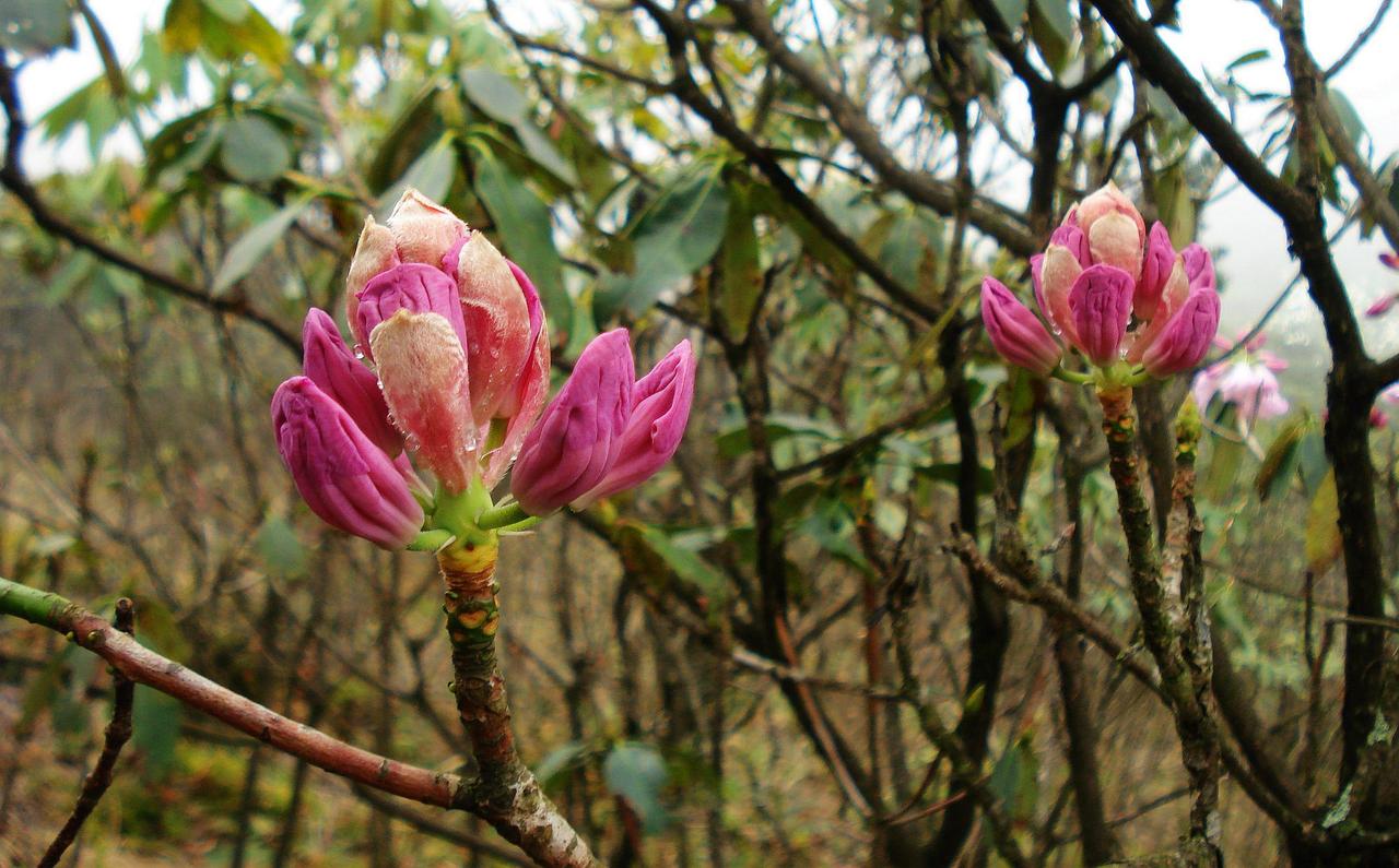 百点长阳，究竟是反弹还是反转？哪个板块才是最强领涨主线？
回顾周三的大A市场，盘