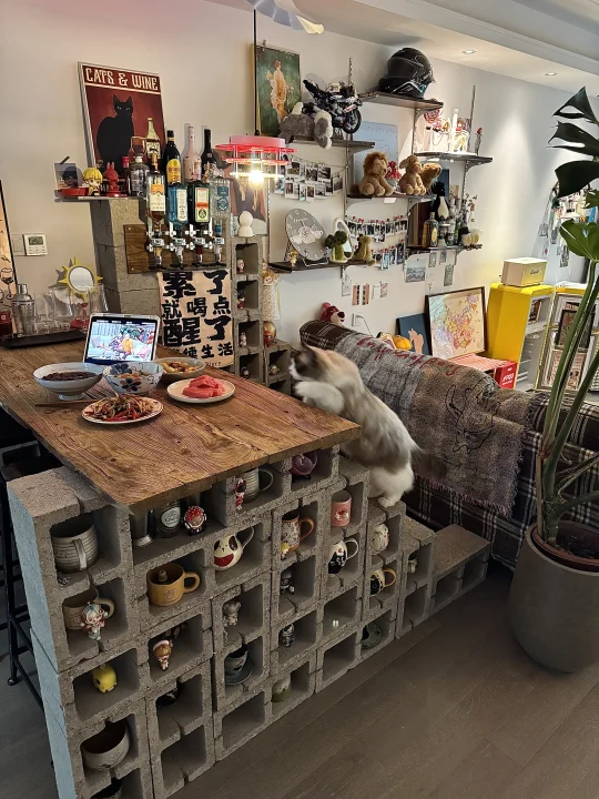 我的租租生活｜好好吃饭吧🍚