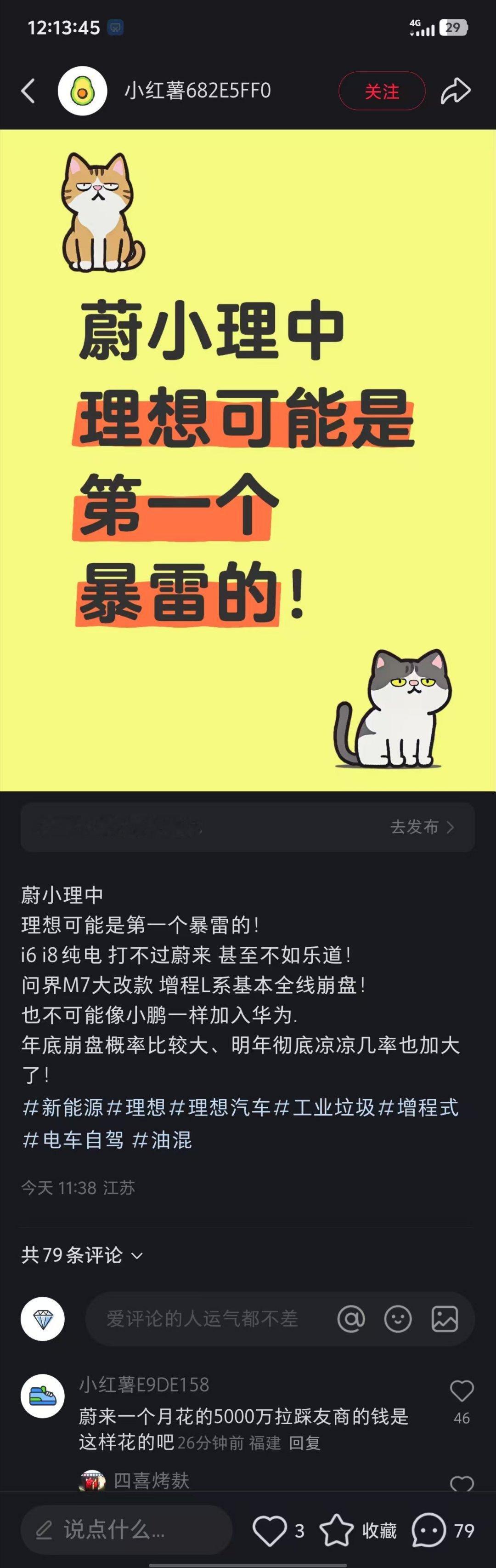 这个黑的方式，难度有点高啊起码从财报看，理想肯定是最安全的一家。我觉得这种黑挺有
