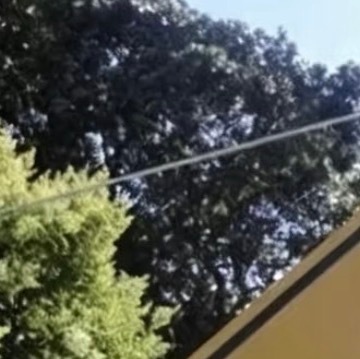 0000没有心宽似海，哪有风平浪静，做人，尽本分，做事，凭良心，穷时，要把自己当