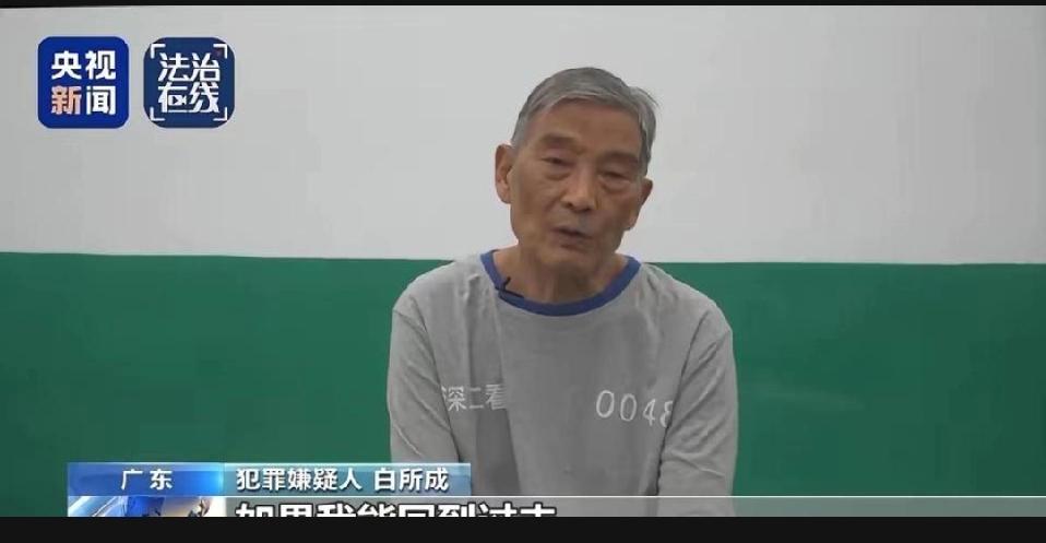 白所成的故事让人唏嘘，身为父亲却选择把自己的儿女也卷入了违法的事。不少人都会疑惑