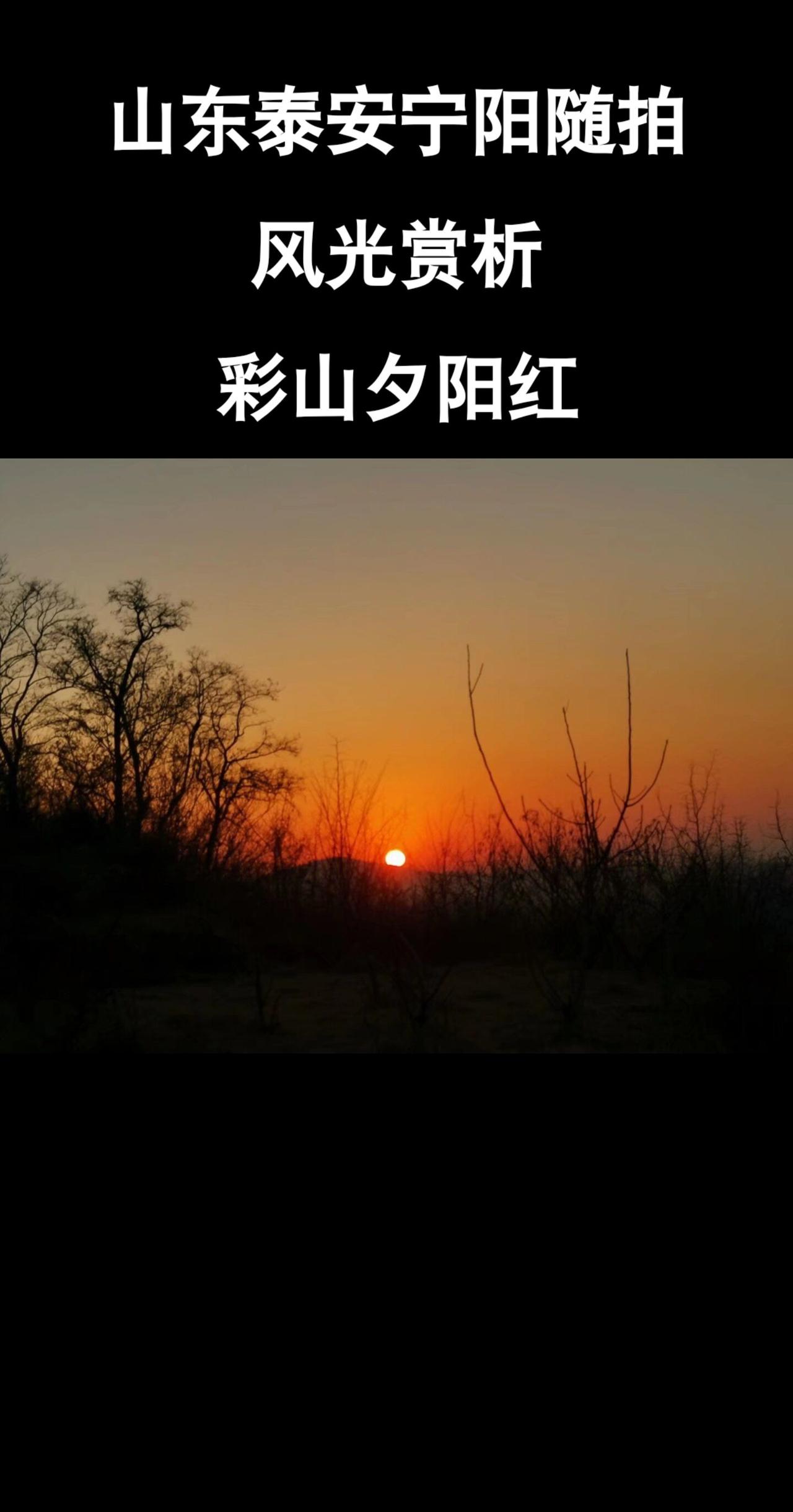 山东宁阳老家风景故乡