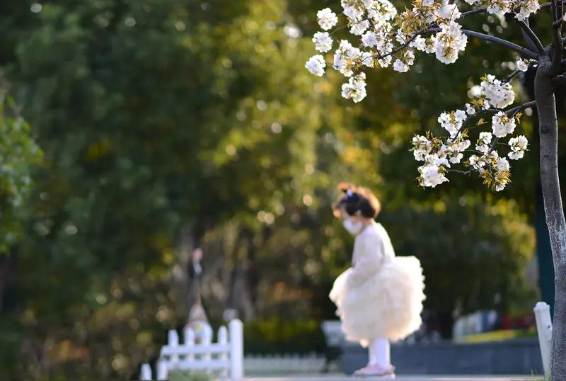 上联：秋乘落叶去，求下联：…？春随暖风归