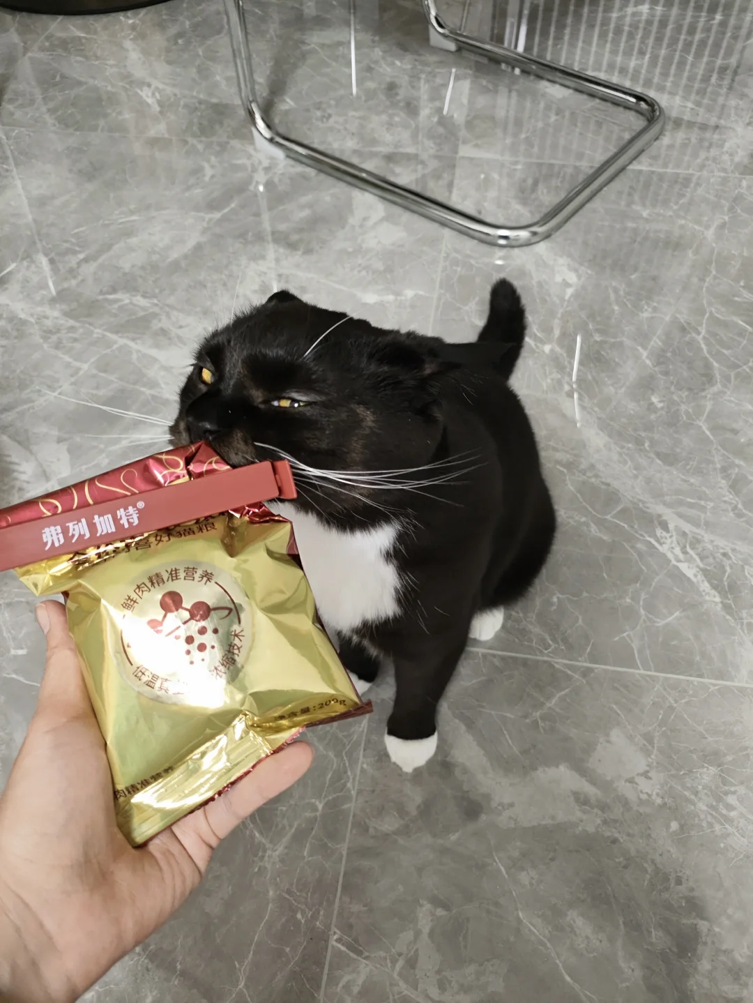 小饭量挑食猫猫的猫粮新选择！