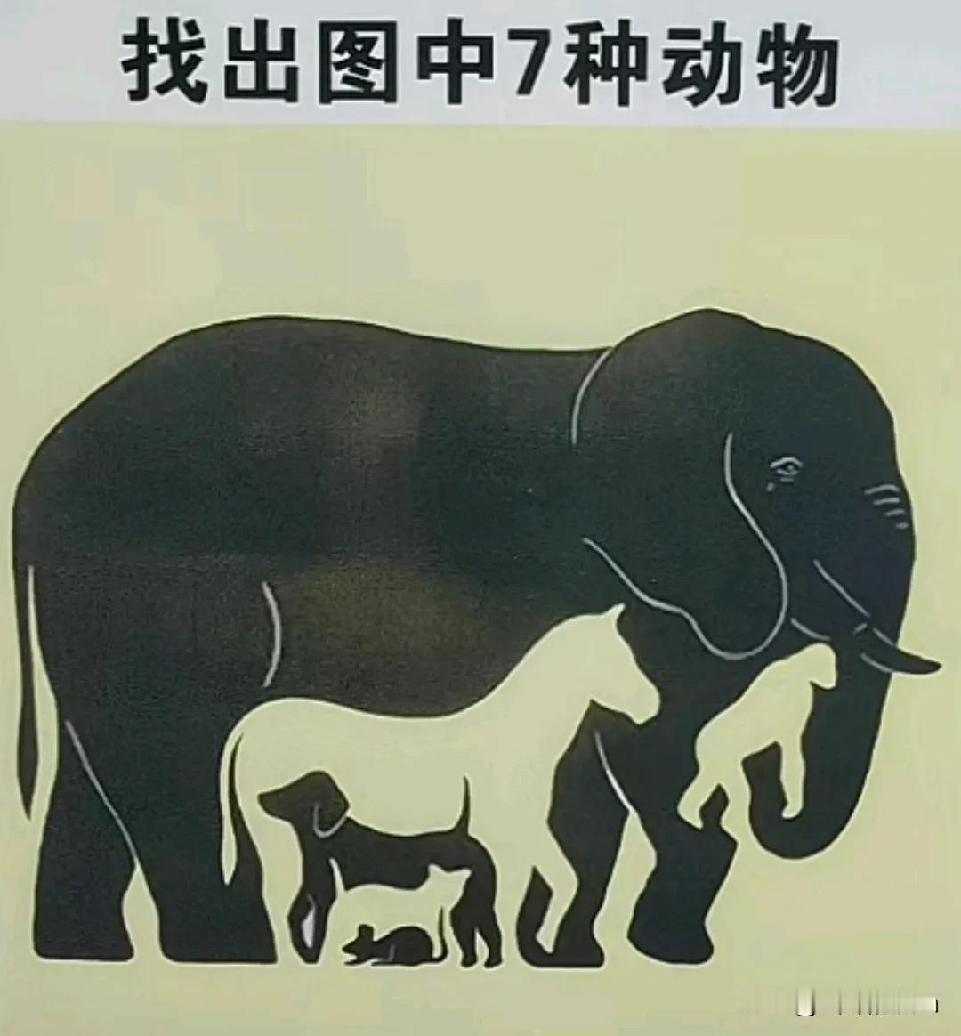 有7种动物，能看出分别是什么动物知道吗？
1 大象🐘
2 
3
4
5
6
7