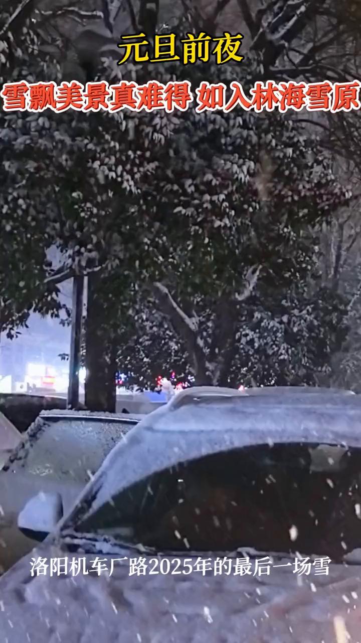 元旦前夜，雪飘美景真难得，如入林海雪原。洛阳机车厂路2025年的最后一场雪。