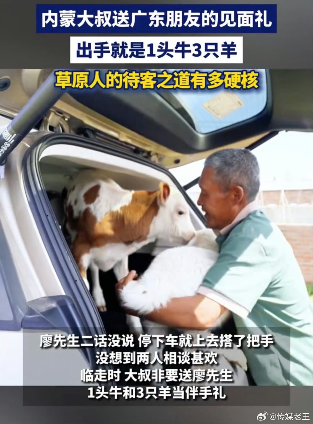 内蒙大叔见面礼出手就是1头牛3只羊草原人的待客之道有多硬核廖先生第一次去内蒙，大