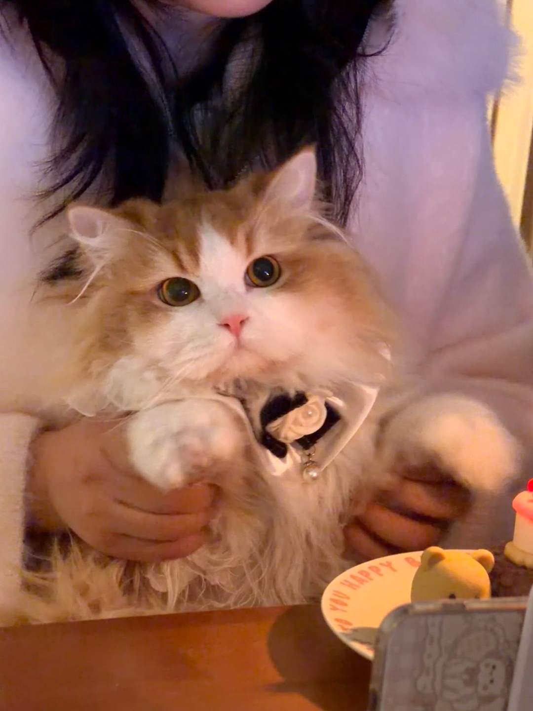 🍰又又小朋友一岁咯 一些 最近 相册里 可爱的 