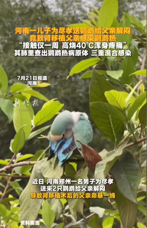 “孝心反成了伤害！”7月21日报道，河南郑州，一男子做了肾移植手术，不能够上公共