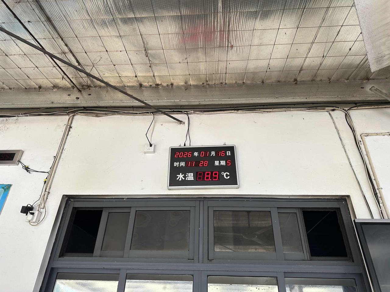 三九暖如春！20℃气温、9℃水温，冬泳人抓紧这波福利

谁能想到三九严寒里还能遇