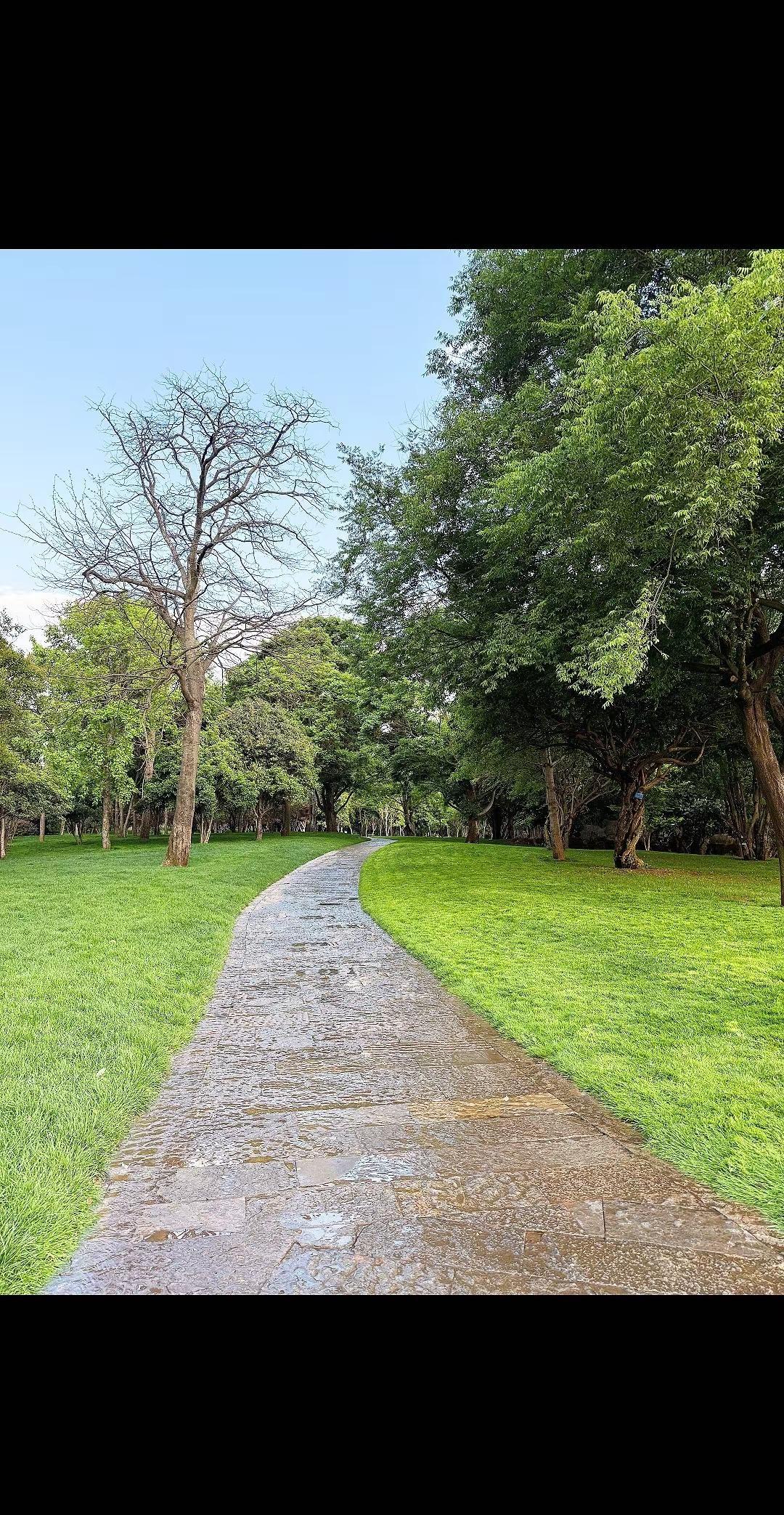 生活最美的状态就是，人静，物简，心安。所有的好，都不如刚刚好，普通人，普通生活，