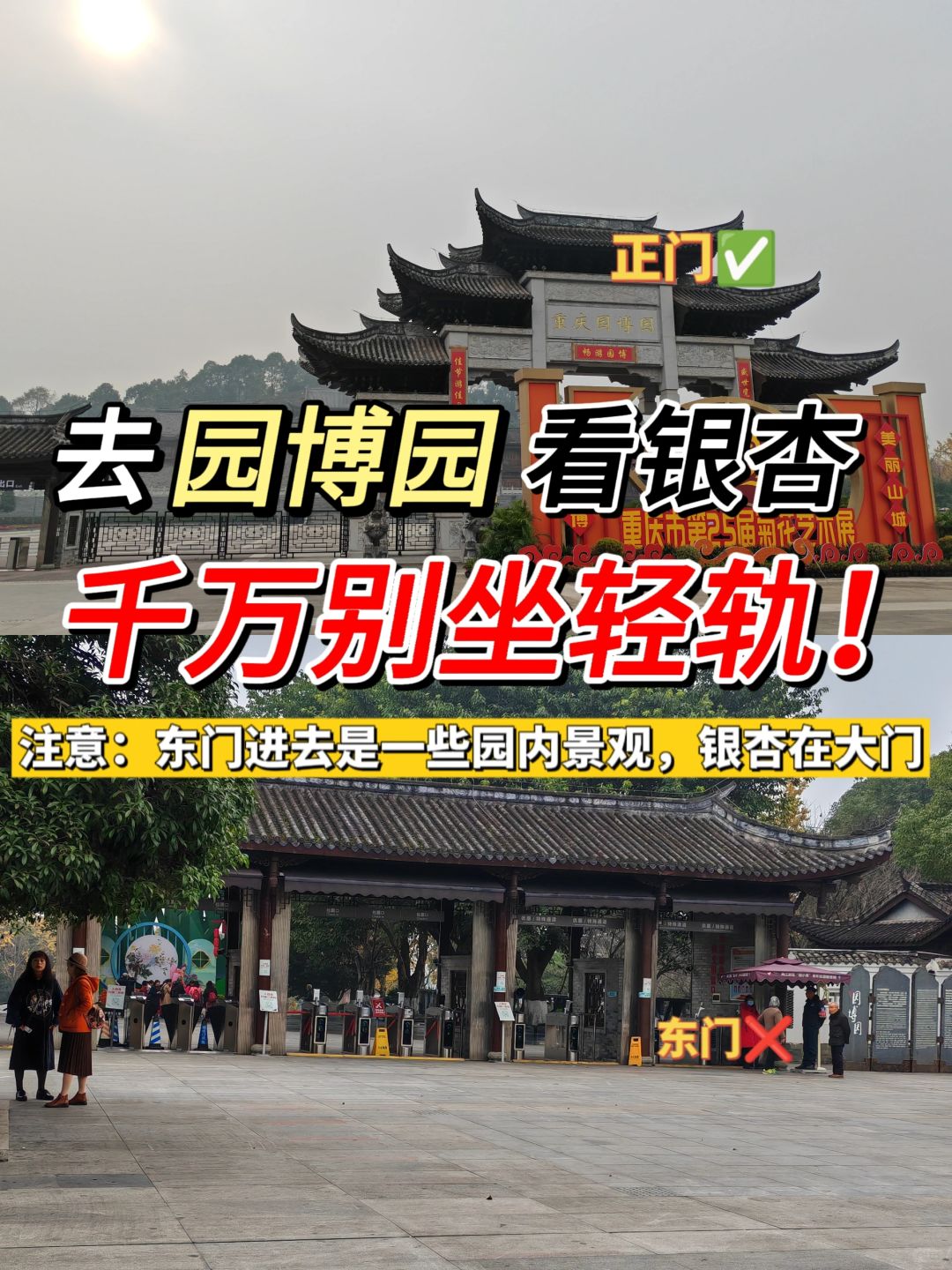 避雷‼️去园博园看银杏千万别坐轻轨！