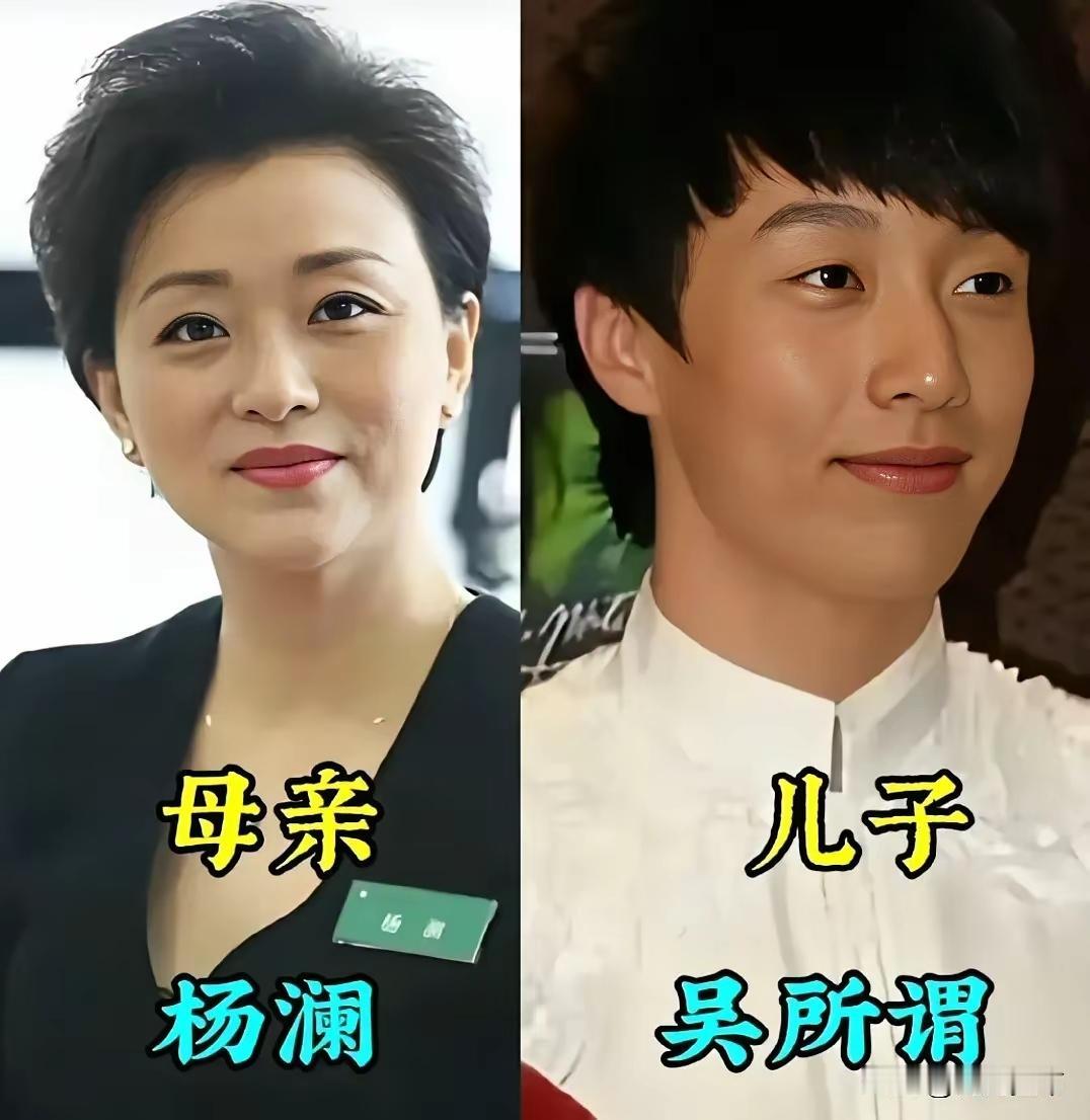 王铎：杨澜的儿子看来就是无所谓