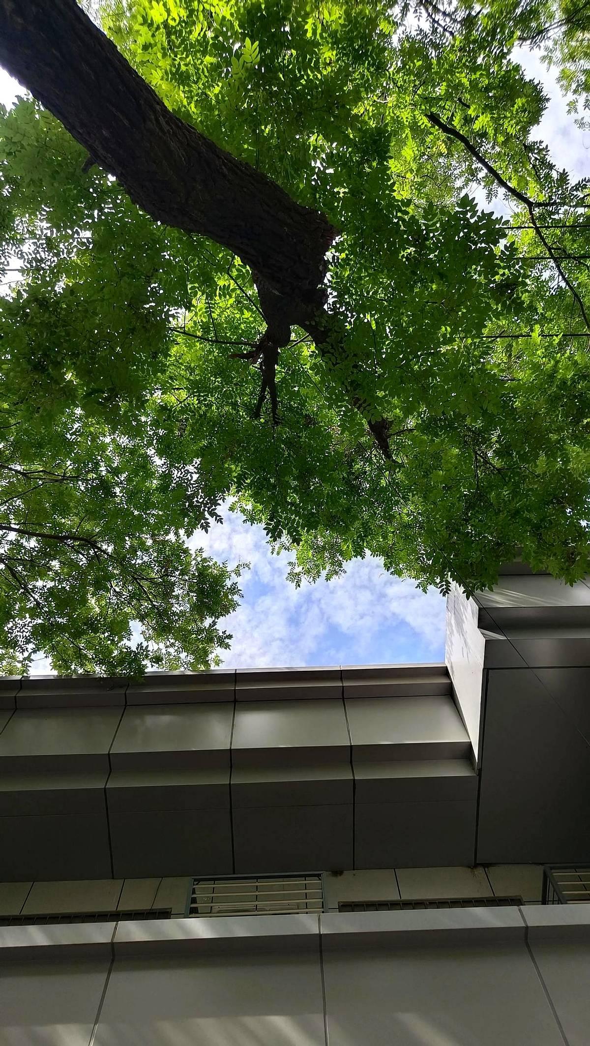 三年前丈夫出了意外，我带着几个月的孩子回娘家，因为找不到合适的保姆就只能先在娘家