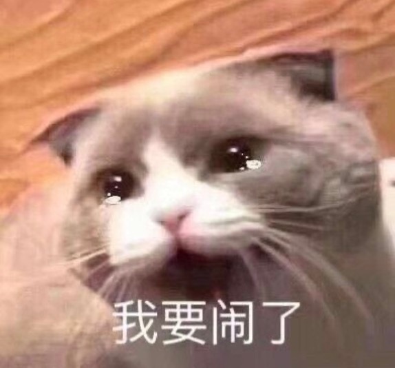 骗你的 我一点都没调理好
