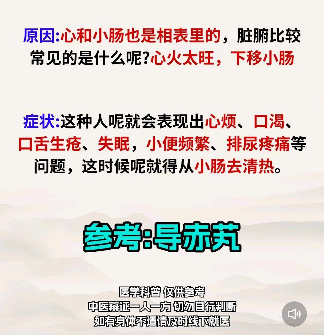 肝不好的身体出哪些症状 健康知识科普 养肝护肝