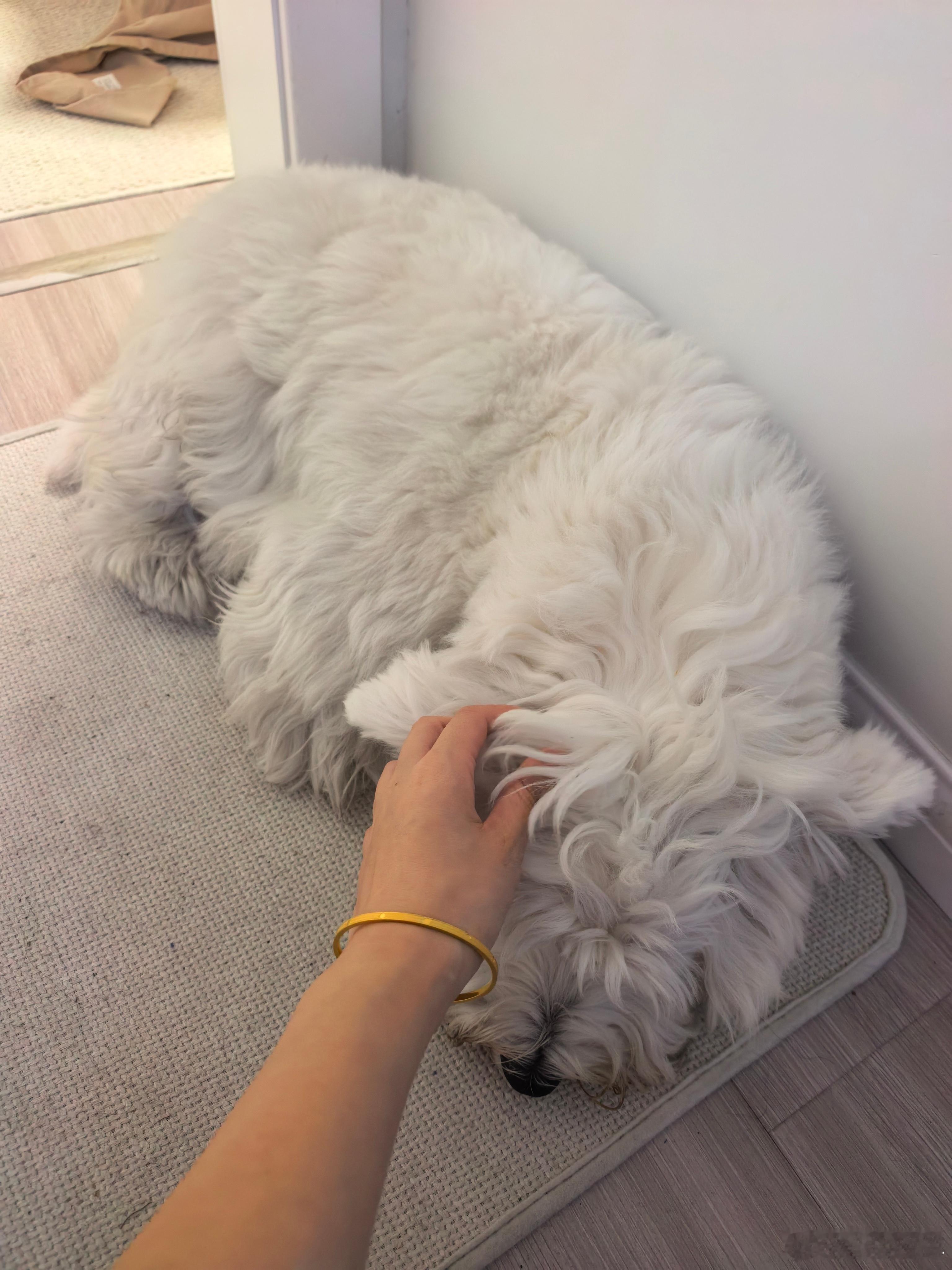 视频交付了又给团队开这一个多小时会每次出差在飞机上，我都会把最近看到的问题总结一