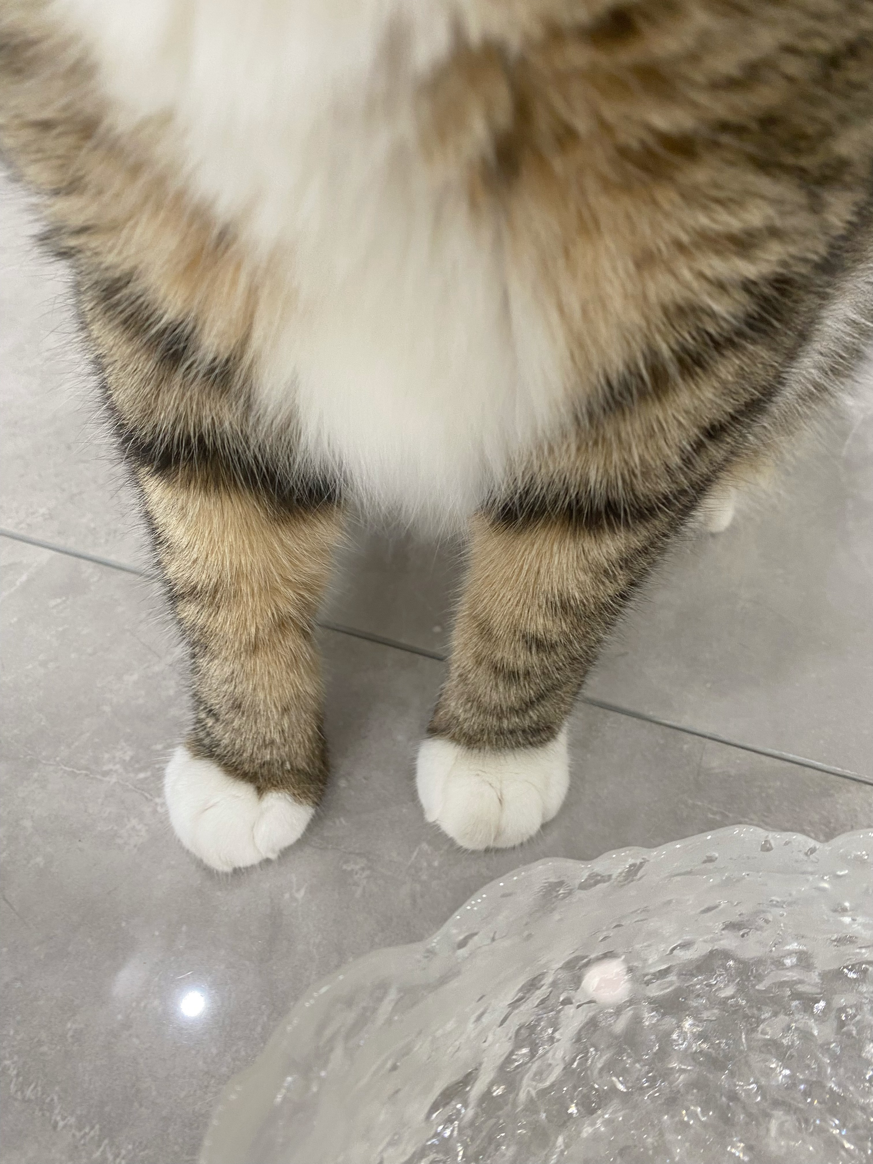 早早早～ ​​​